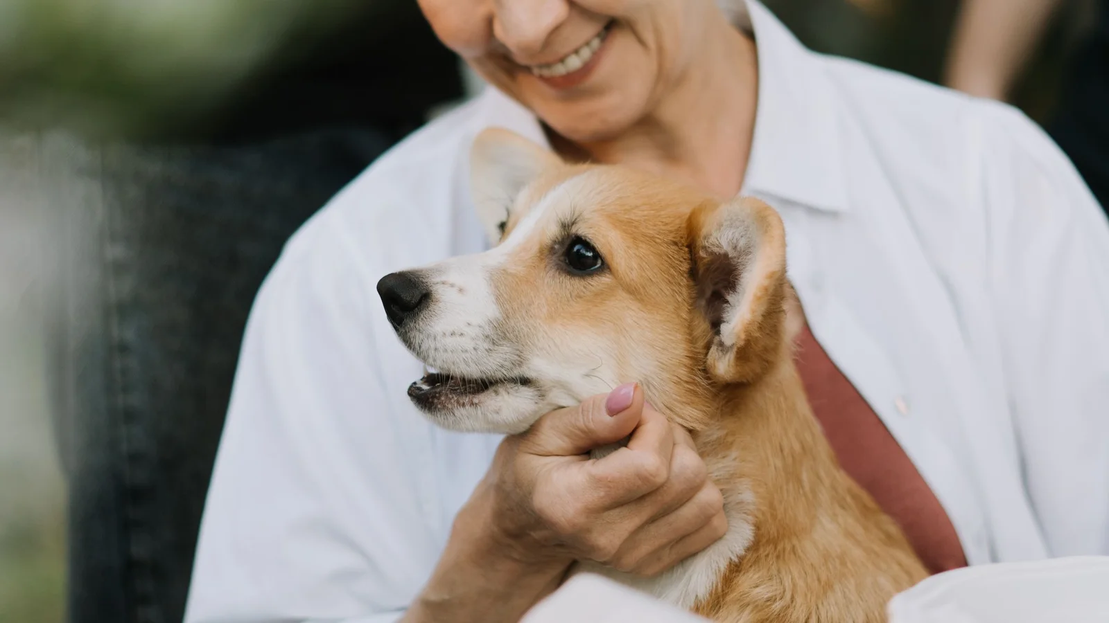 Senior souriante tenant un chat dans ses bras en plein air